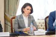 Бабюк Ирина Анатольевна, Координационный совет по развитию транспортной системы